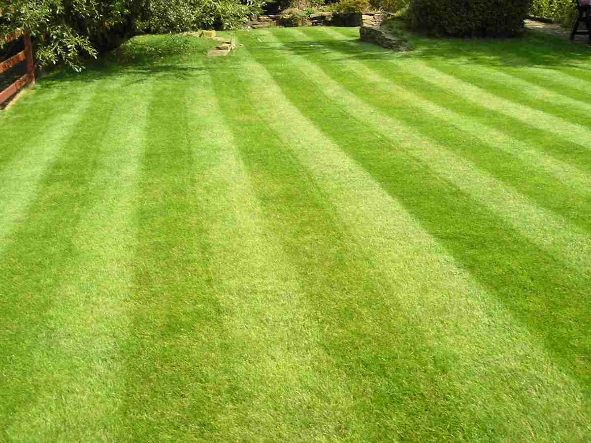 Lawn Care